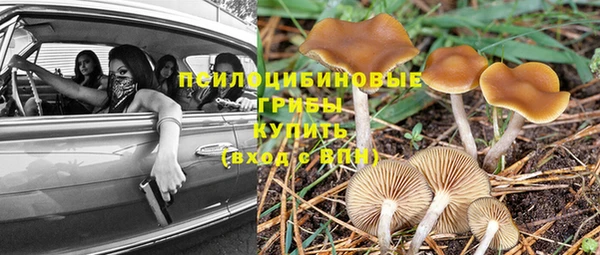 эйфоретик Белокуриха